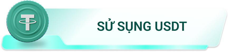Sử Dụng USDT